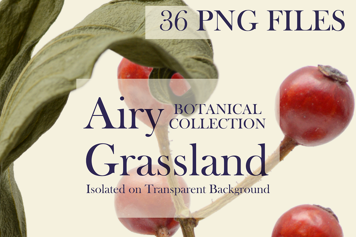 Botanical PNG Elements – 36 Meadow P, an Object Graphic by Aga Silva (Photo 9 of 28)