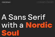 TT Firs Text, a Sans Serif Font by TypeType (Thumbnail 3 of 15)