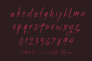 Manstera Leviosa - Expressive Script, a Script Font by HypeWorksCo (Thumbnail 15 of 15)