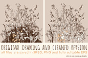 Wild Herbs, an Illustration by julianaapina (Thumbnail 2 of 7)