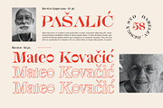 Bornice Modern Serif, a Serif Font by Damelev (Thumbnail 11 of 13)