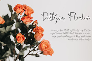 Moltena Script Font