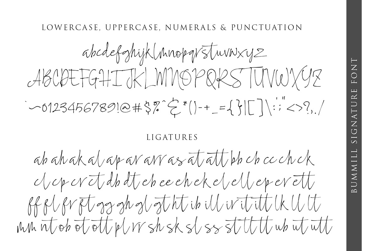 Bummill Signature Font preview 8