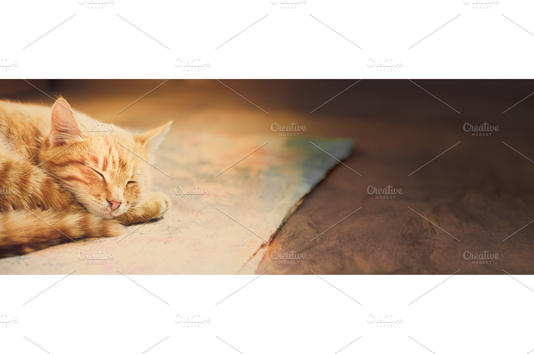 Little Red Kitten Sleeping On Bed, an Animal Photo by Our Amazing World