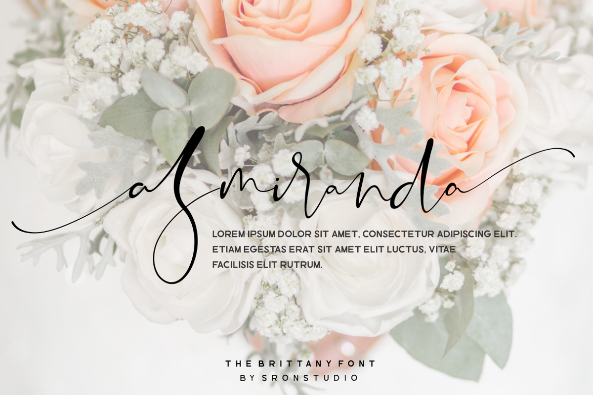 The Brittany / Font Trio, a Script Font by Sronstudio (Photo 12 of 19)