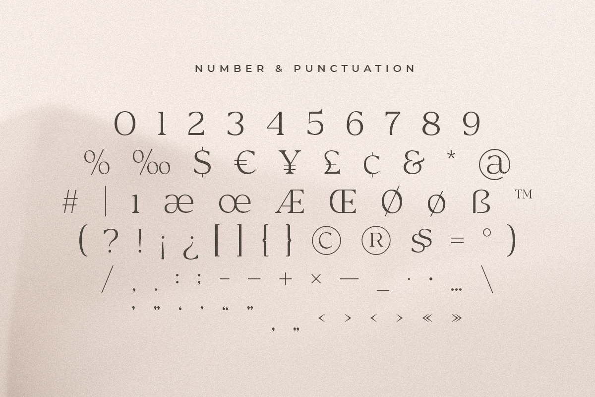 Rosan Serif - Cinematic Serif Font, a Serif Font by Hamz Studio (Photo 14 of 16)