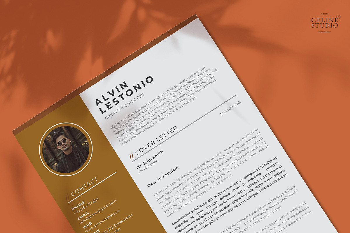 Profesional Resume / CV Template, a Resume Template by Celine Studio (Photo 4 of 4)