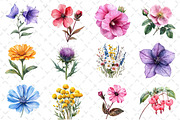 Watercolor Wildflowers Clipart, an Illustration by Dream Creation (Thumbnail 3 of 5)