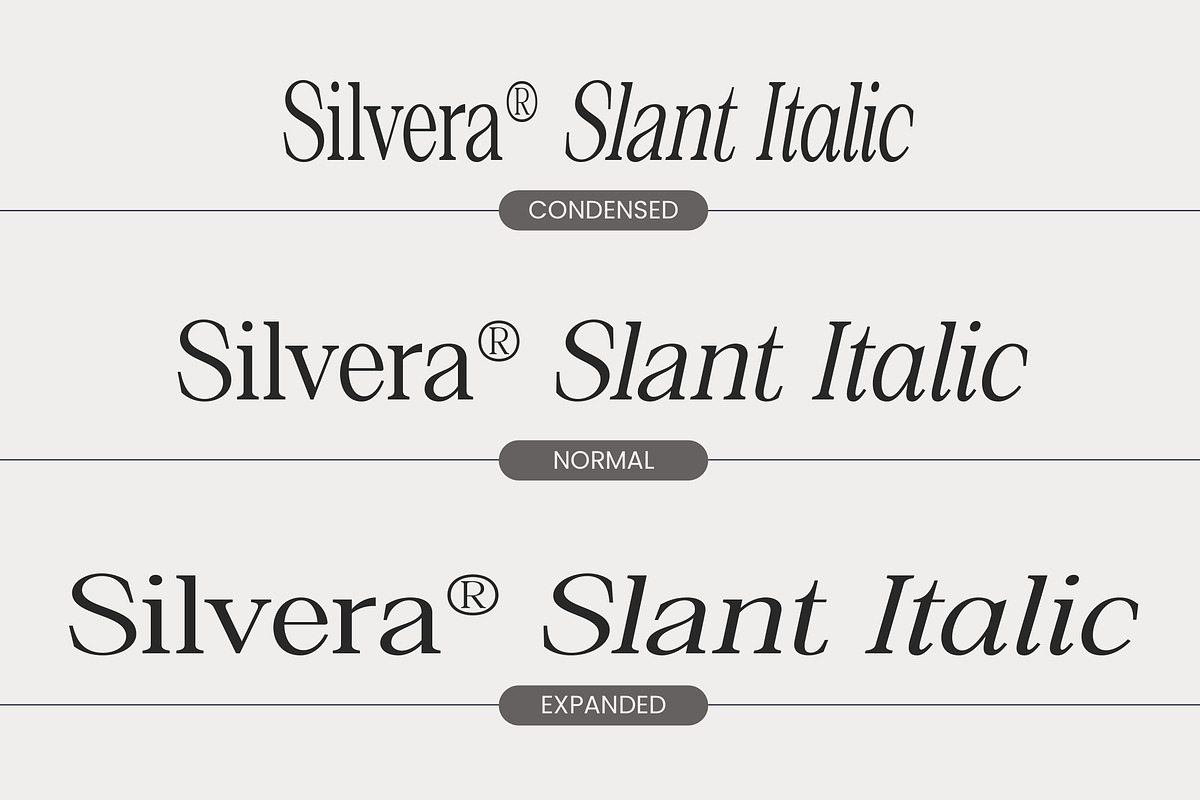 Silvera Text, a Serif Font by Soft Creative (Photo 2 of 10)
