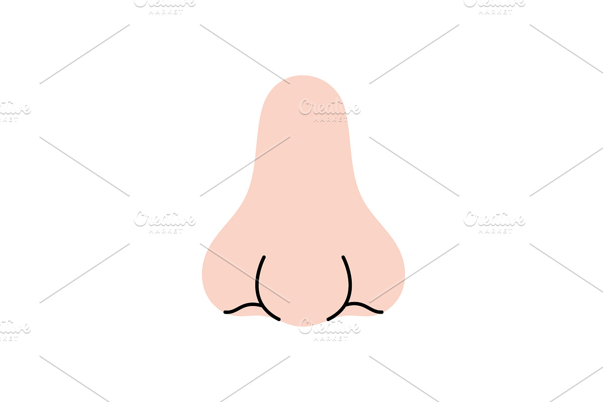 Nose. Human internal organ. Vector, an Object Illustration by GraphiShop