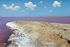 Pink salty Syvash Lake, Ukraine, a Nature Photo by YuriyB