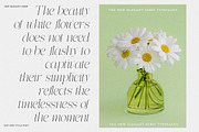 Effidhem Mevagen | 18 Font Files, a Serif Font by IM Studio (Thumbnail 2 of 14)