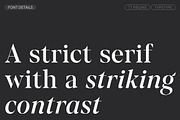 TT Regins, a Serif Font by TypeType (Thumbnail 3 of 15)