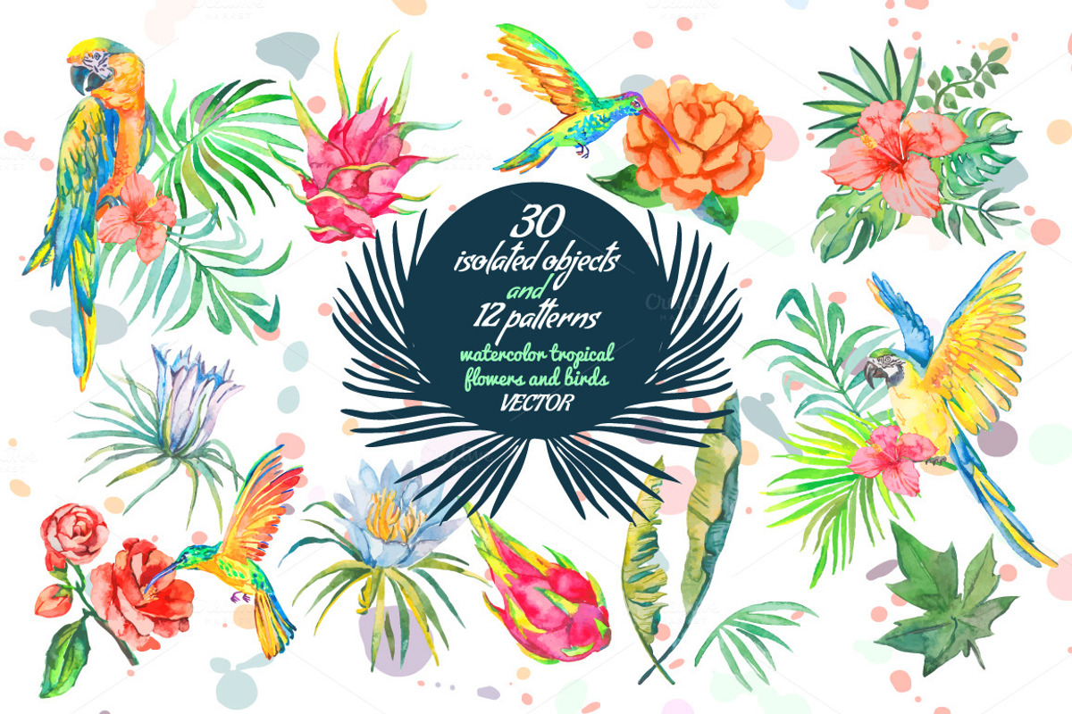 60% OFF TROPICAL SET, an Illustration by Elizaveta (Photo 1 of 9)