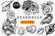 Seashell SVG Bundle, an Object Graphic by Dervik Art Store (Thumbnail 1 of 5)