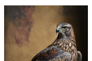 Biwi Collection · Majestic Birds, a Texture Illustration by milatovar (Thumbnail 5 of 17)
