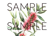 Bottle Brush Floral Clipart PNG, a Decorative Illustration by Pawcasso's Portraits (Thumbnail 2 of 6)