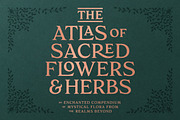 Paradisian Serif, a Serif Font by Dopestype (Thumbnail 4 of 13)