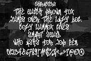 Mono Seahorse, a Script Font by asfgraphics (Thumbnail 6 of 10)