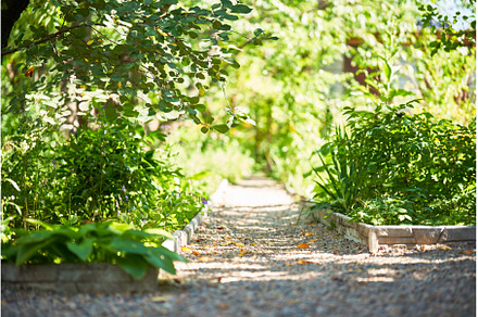 Gravel path in garden on summer day., a Nature Photo by Gladkov photography