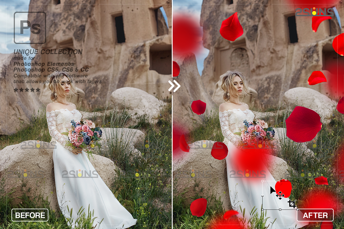RED Rose Petals photo overlays, an Object Graphic by 2SUNS (Photo 10 of 10)