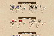 Birth Flowers Vector Clipart_B, a Decorative Illustration by OKArtHub (Thumbnail 4 of 9)