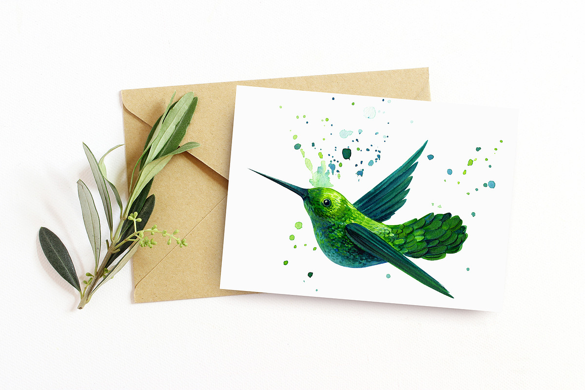 Tropical Birds, Watercolor painting, an Animal Illustration by Hanna Hryharenka (Photo 4 of 13)