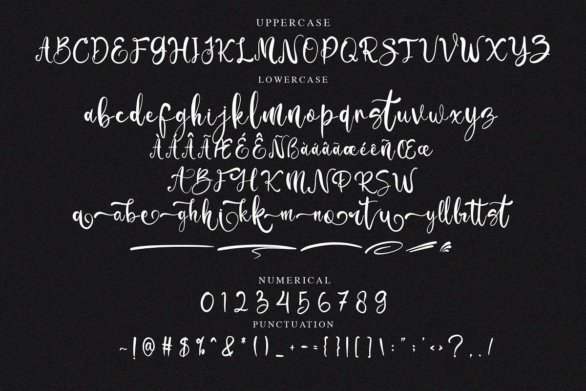Millea Dilane Script Font, a Script Font by NTC Graphic (Photo 6 of 7)