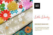 Little Liberty Procreate Brush Set, a Brush Add-On by CC CREATIVE CO (Thumbnail 9 of 12)