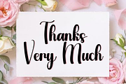 Winky Swinging, a Handwritten Font by FreshTypeINK (Thumbnail 8 of 8)