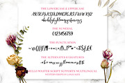 Hello Master FONT DUO with Doodle, a Script Font by Alpha Bento (Thumbnail 7 of 8)