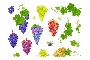 Grape varieties. Red, black, white, a Food Illustration by YummyBuum
