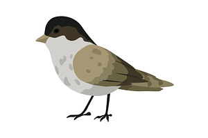 City bird, icon. European colorful, an Animal Illustration by the8monkey
