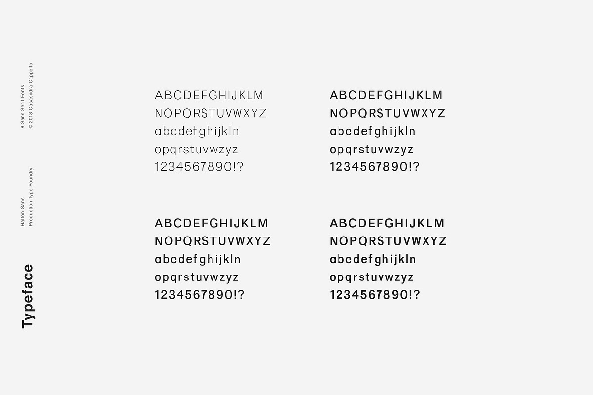 Halton - Modern Sans Serif Typeface, a Sans Serif Font by Cassandra Cappello (Photo 5 of 5)