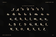 Chatoya Elegant Serif Display Font, a Serif Font by Elegant Font (Thumbnail 8 of 8)