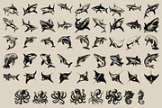 340 Sea Creatures illustrations, an Animal Illustration by Nocturnal Wolf (Thumbnail 10 of 15)
