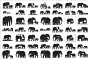 elephant family silhouette design, an Illustration by Amazin_art (Thumbnail 1 of 51)