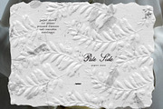 Pale Side: Papers, Flowers & Traces, an Object Graphic by Purple (Thumbnail 4 of 16)