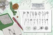 Wildflower Line Art Clipart, a Decorative Illustration by BalanceUA (Thumbnail 3 of 18)