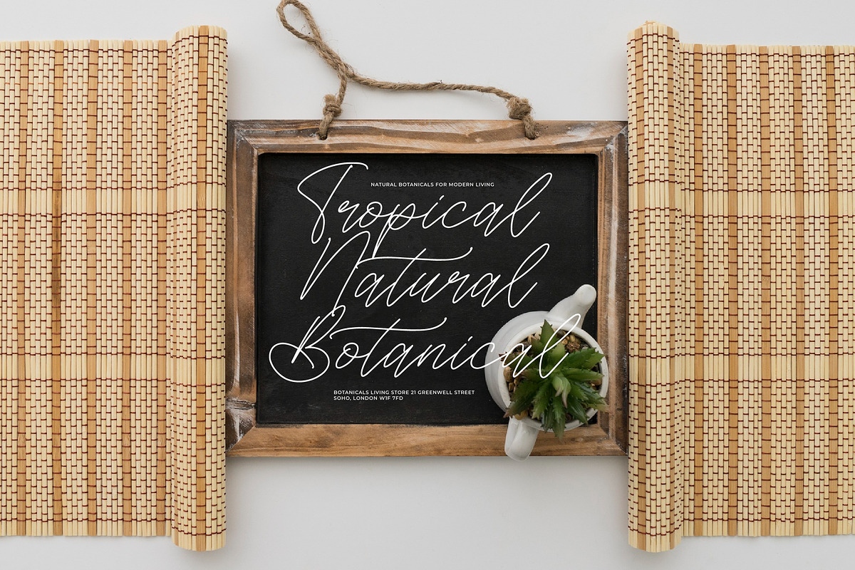 Soft Petals Beauty Monoline Handwr, a Script Font by Integritype Studio (Photo 2 of 15)