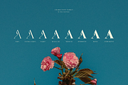 SNS Charis Font Family, a Serif Font by Sans & Sons (Thumbnail 6 of 10)