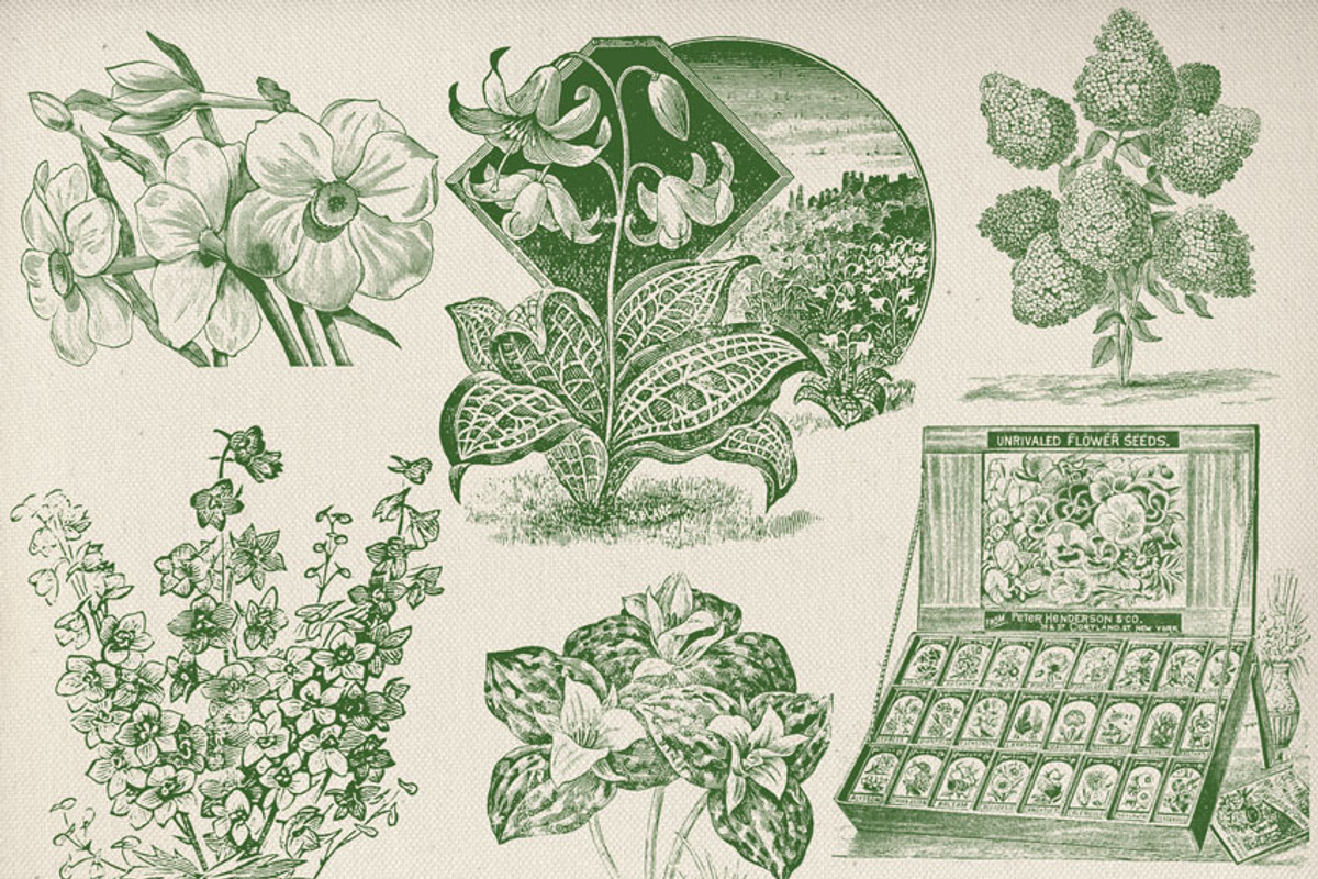 Vintage Garden & Seeds Brushes Set preview 2