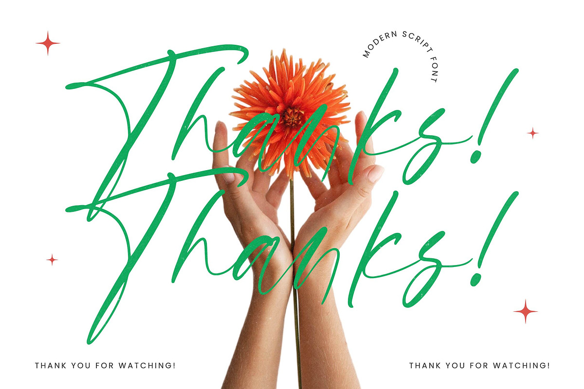 Petalik Glisten Modern Script Font, a Script Font by Letterena Studios Script (Photo 15 of 15)