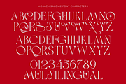 Maison Salome, a Serif Font by zeenesia (Thumbnail 15 of 16)