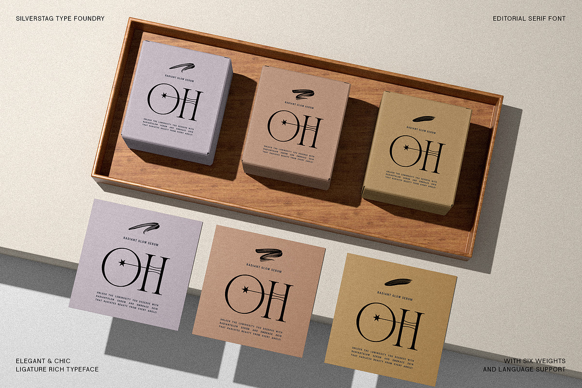 Cosmic Solace - Ligature Typeface, a Serif Font by SilverStag Type Foundry (Photo 23 of 30)