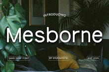 Mesborne – Modern Sans Serif Font