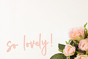 Cuddle and Kind Font Duo + Logos, a Script Font by theinkaffair (Thumbnail 3 of 10)