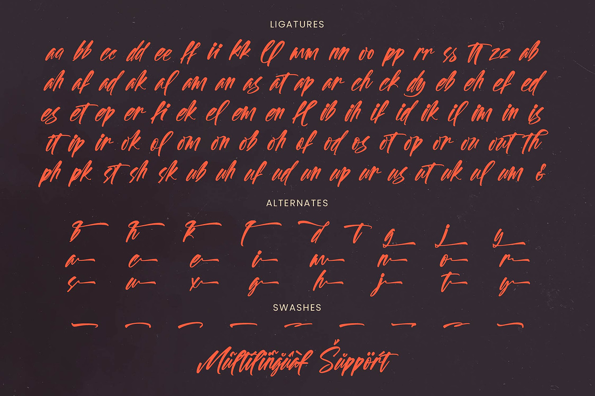 Spotnight Balmonte Modern Brush Font, a Script Font by stylishtype.co (Photo 19 of 20)