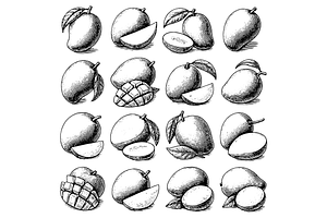 Mango Fruit Illustration Set, an Object Graphic by RT Studio