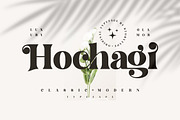 Hochagi Classy Serif Font, a Script Font by Storytype Studio (Thumbnail 1 of 9)
